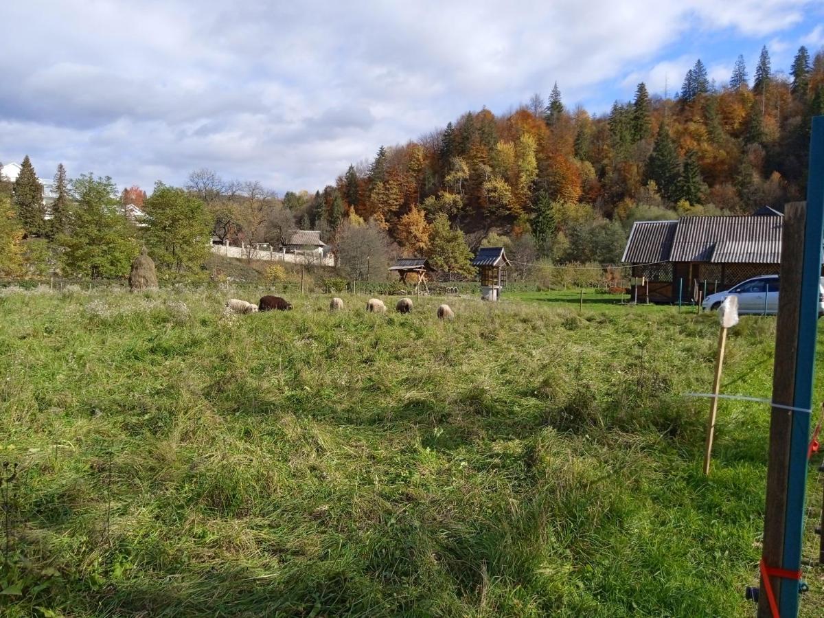 Садиба Федорчуків За Рікою Sheshory Bagian luar foto